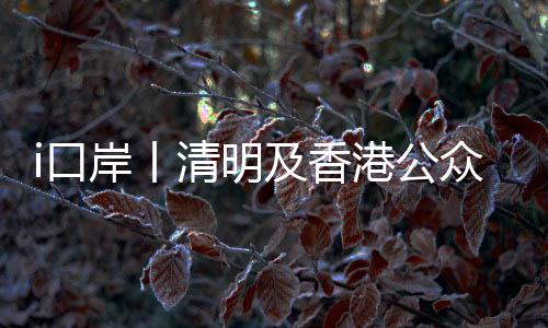 4月20日	�、岸丨岸共计6班次