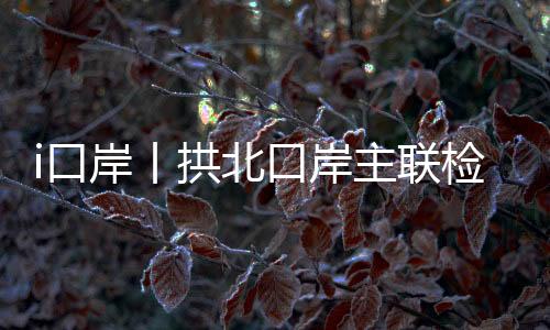 日均客流近33万人次