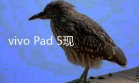 vivo Pad 5现已开启新品预约 内置PC级WPS