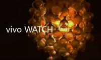 vivo WATCH 5智能手表正式开售 至长22天蓝牙续航